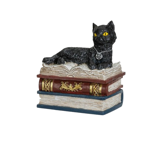 Cat Stack of Books