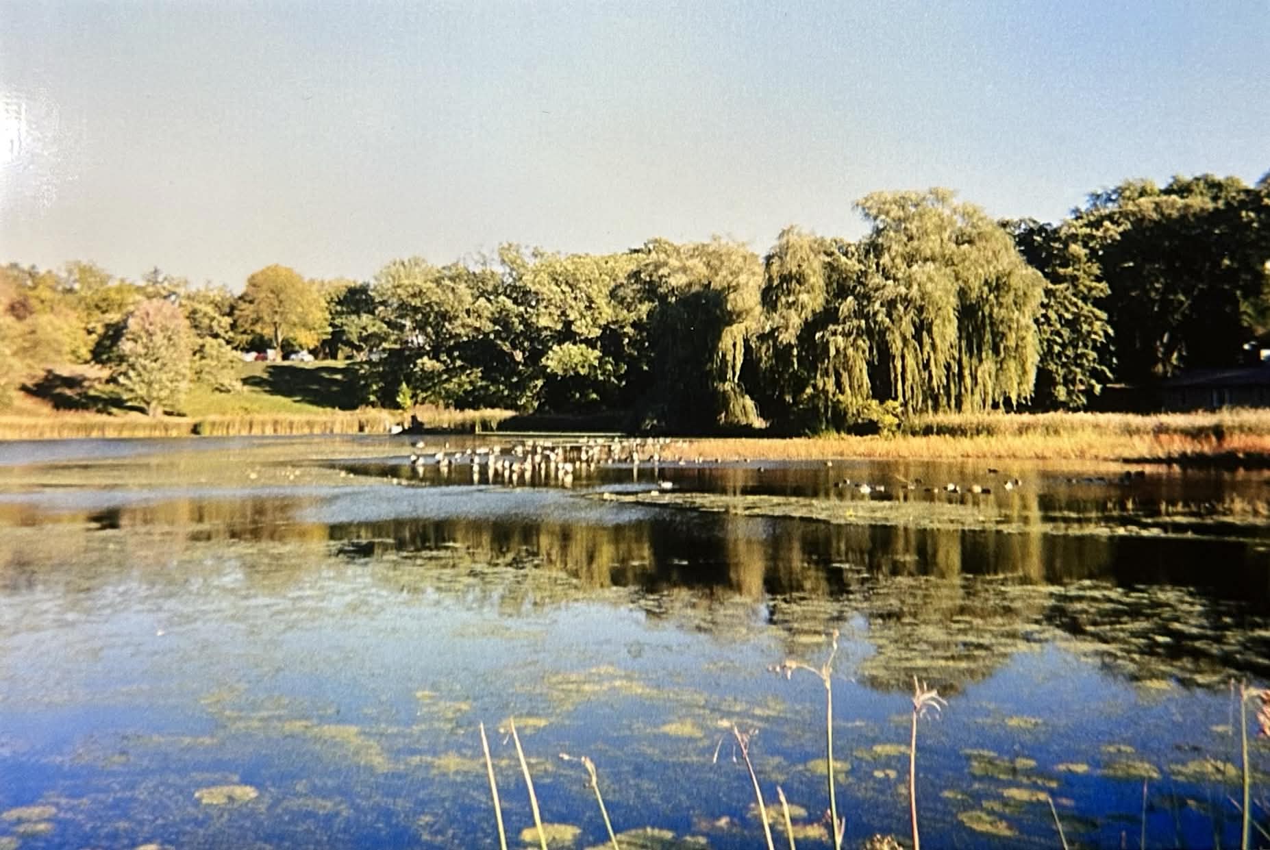 Description of image