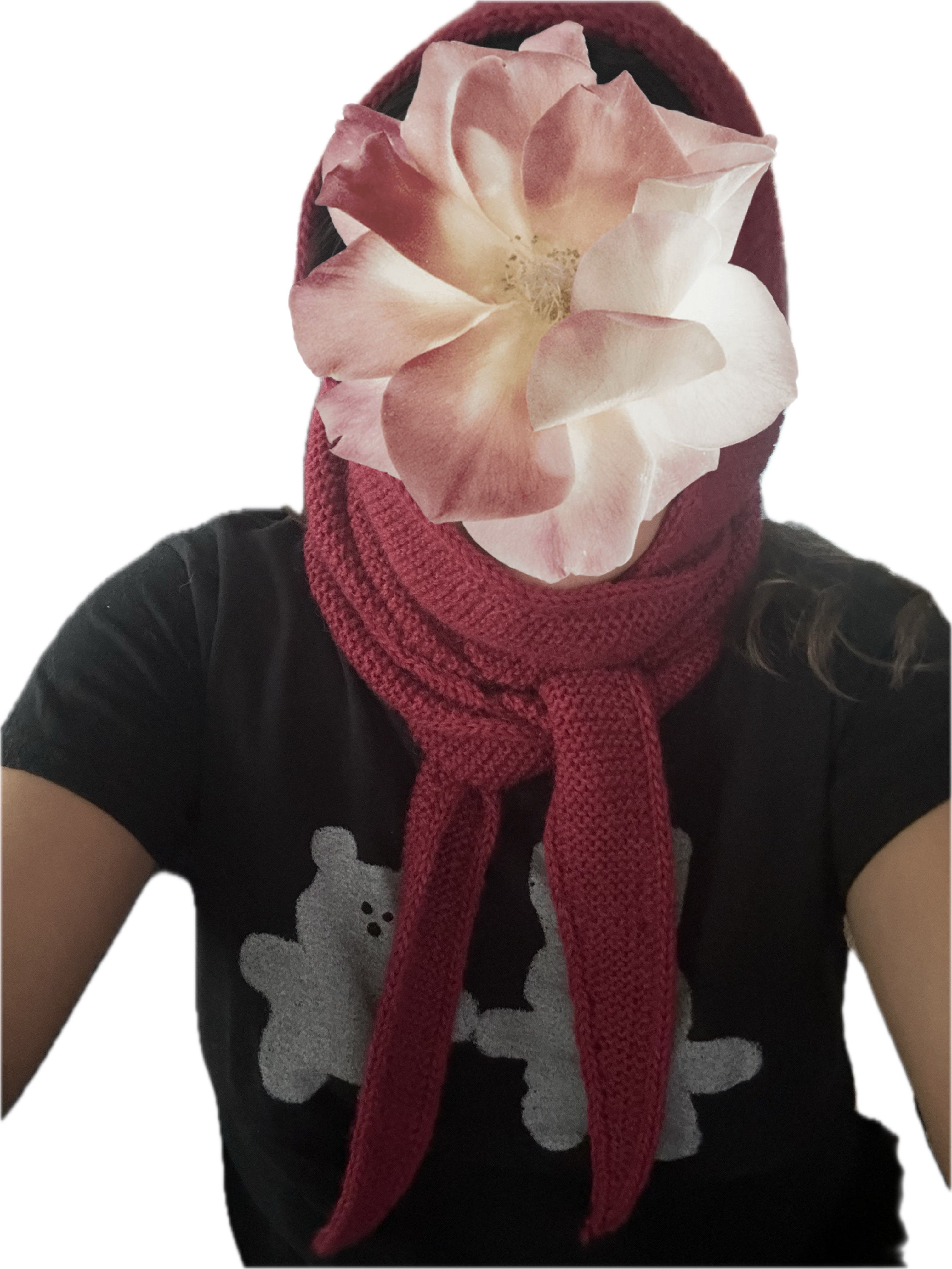 Description of image